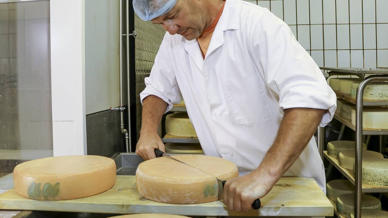 Bevor der Käse aufgeschnitten werden kann, reift dieser fünf Wochen im Reiferaum von Wolfgang Dankl. 