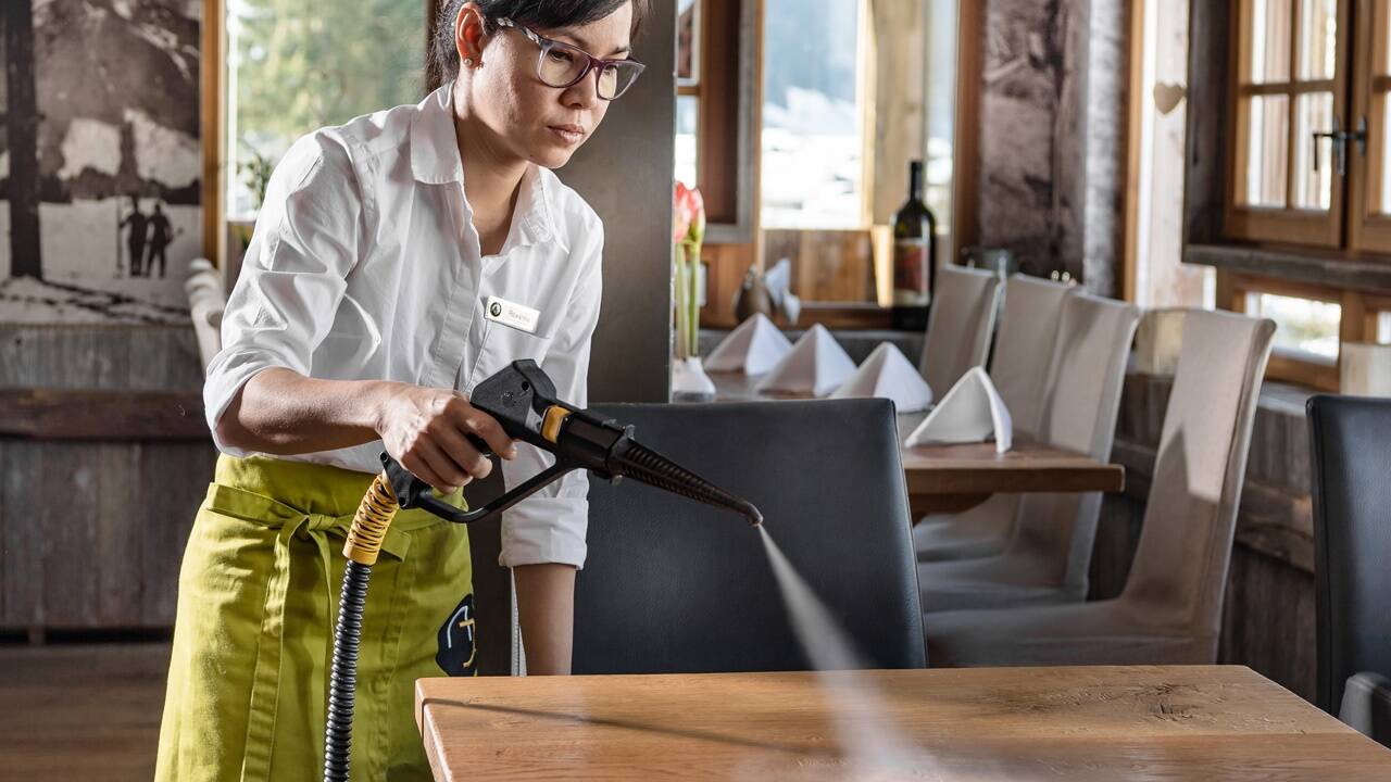 Innenraumreinigung ganz ohne Chemie. 