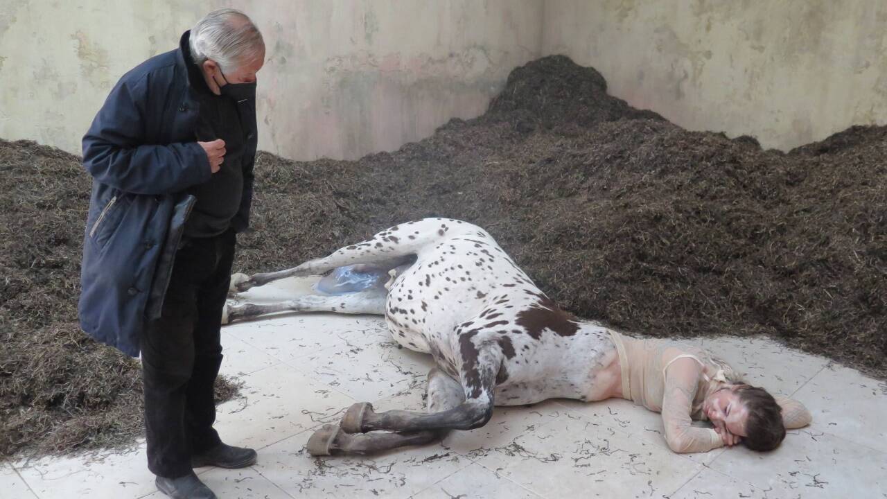 Uffe Isolotto vertritt Dänemark mit einer düster-dramatischen Installation. 