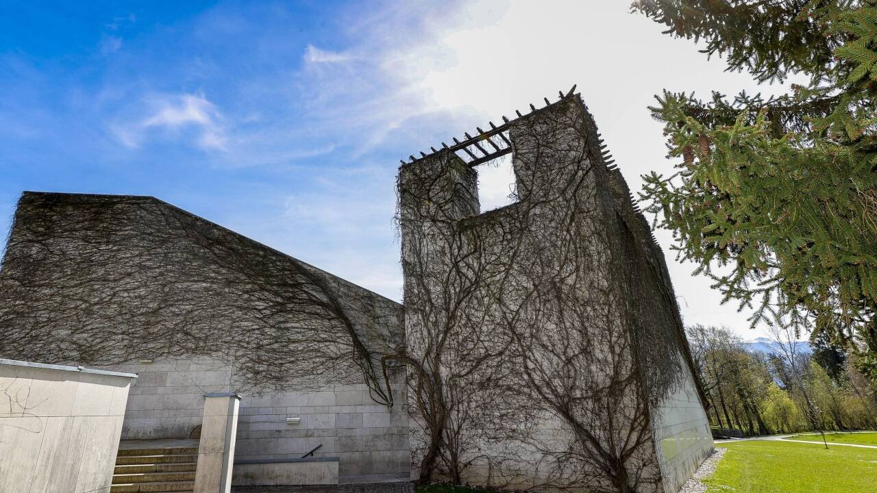 Wilder Wein wächst auf dem Amphitheater der Nawi in Freisaal. 