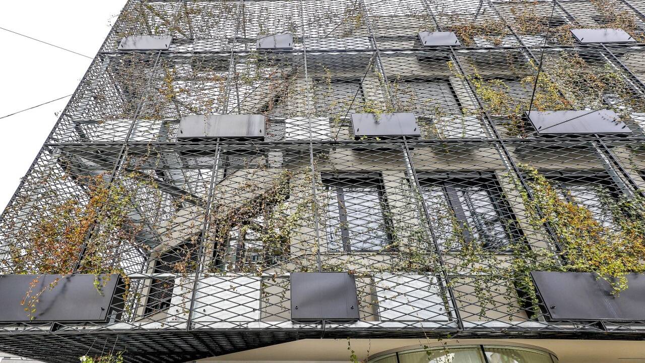 Nur spärlich gedeiht bisher der Efeu an der Fassade der Zentrale des gemeinnützigen Bauträgers Salzburg Wohnbau.  