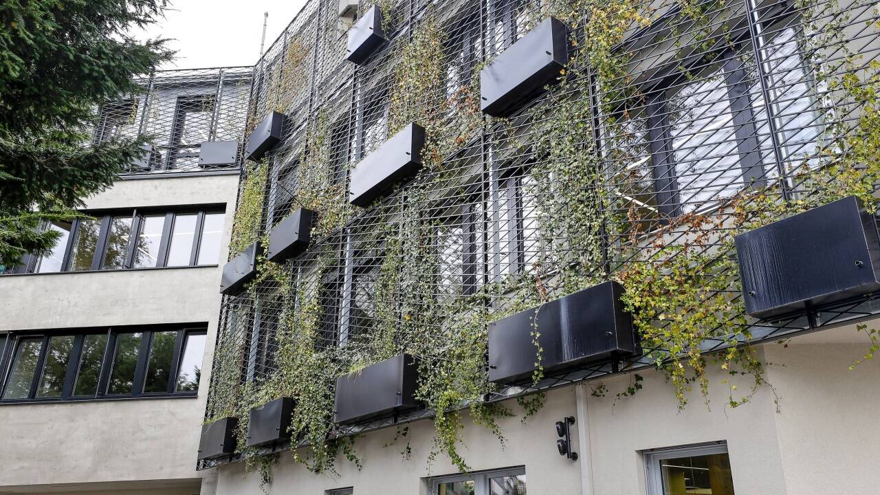 Nur spärlich gedeiht bisher der Efeu an der Fassade der Zentrale des gemeinnützigen Bauträgers Salzburg Wohnbau.  