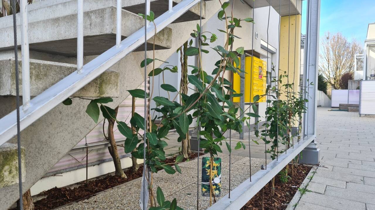 Hausaufgang in der Gartenstadt Aigen. 