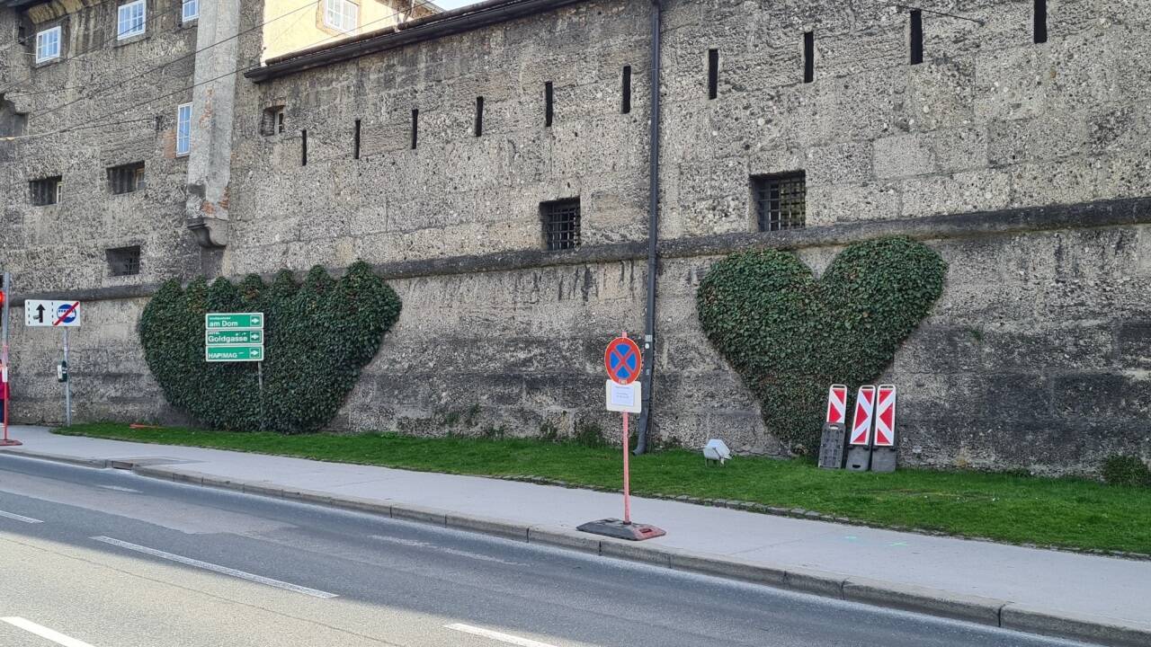 Ein Herz und eine Krone: Die alte Stadtmauer am Rudolfskai ist mit Efeu begrünt. 