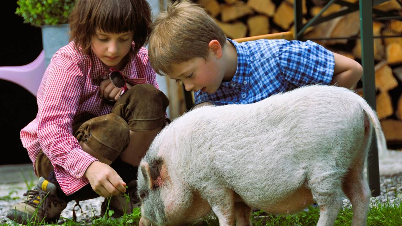 Kinder begegnen Tieren noch unvoreingenommen. Allen soll es gut gehen.  