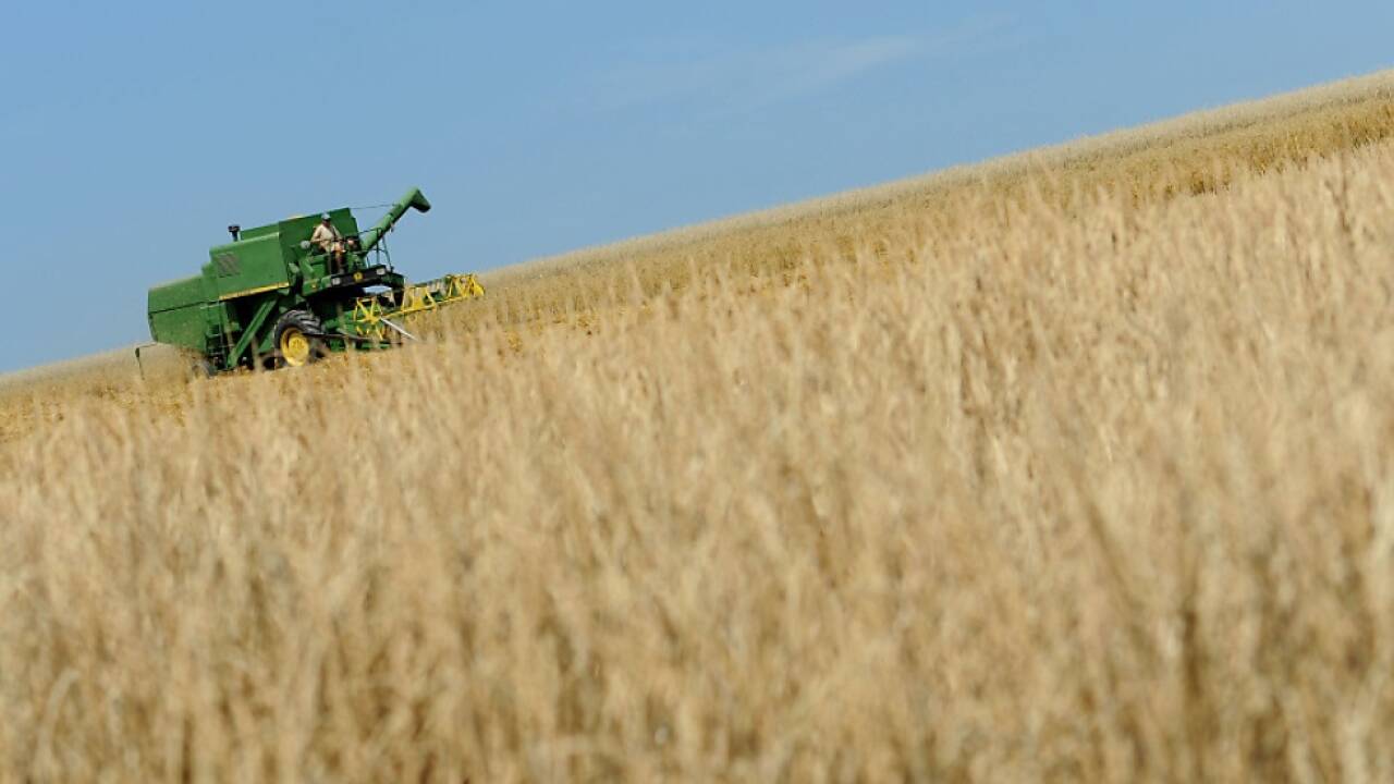 Vorwurf: Mehr Bio, weniger Ertrag  Vorwurf: Mehr Bio, weniger Ertrag