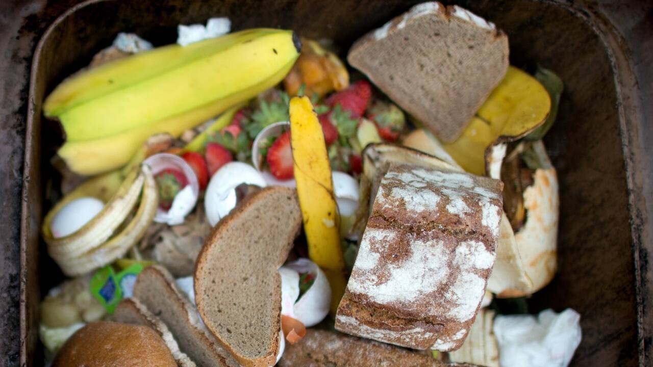  Nicht nur Brot wird unnötig weggeworfen, viel zu viele Lebensmittel landen in der Mülltonne.  
