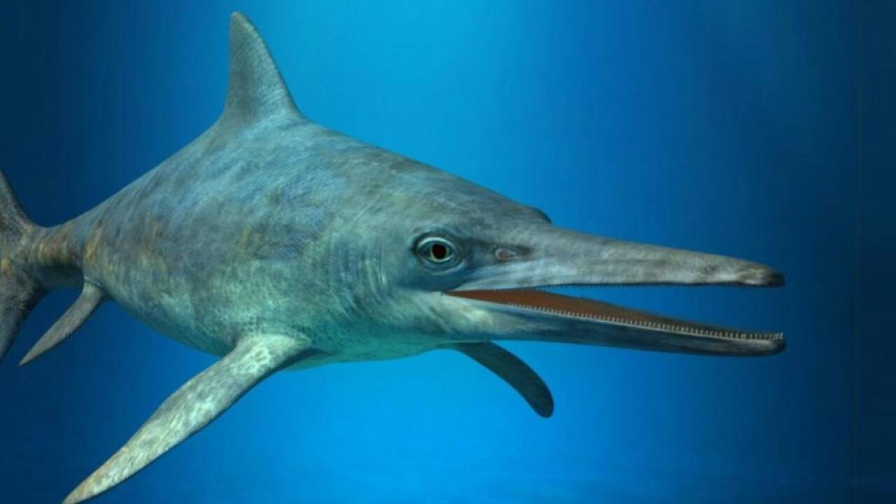 So könnte einer der Ichthyosaurier ausgesehen haben So könnte einer der Ichthyosaurier ausgesehen haben