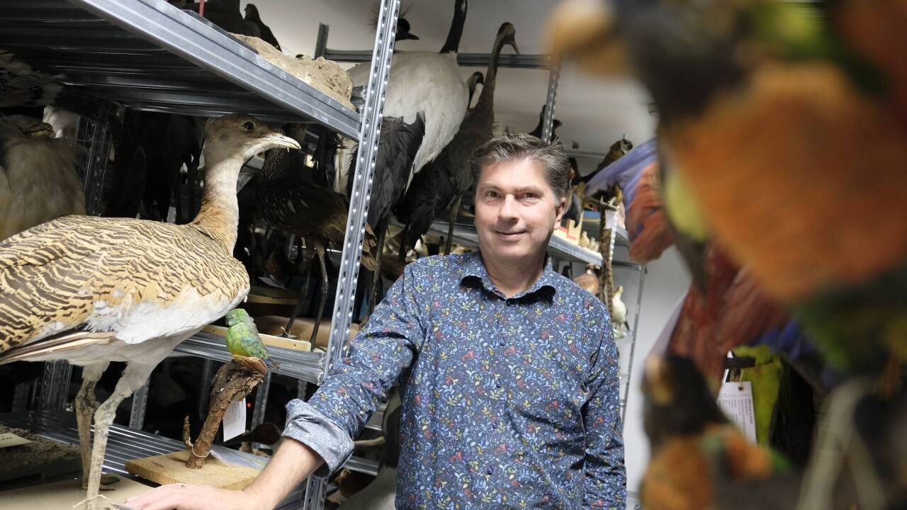 Robert Lindner umgeben von mehr als 2000 ausgestopften Vögeln im Depot des Hauses der Natur. Der Biologe übernimmt ab 1. Juli die Leitung des Museums in Salzburg. 