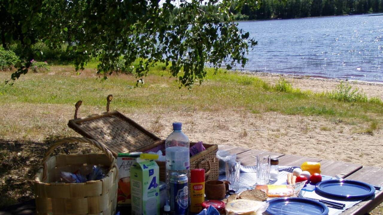 Picknicken am See lässt sich perfekt mit einem Badetag verbinden.  