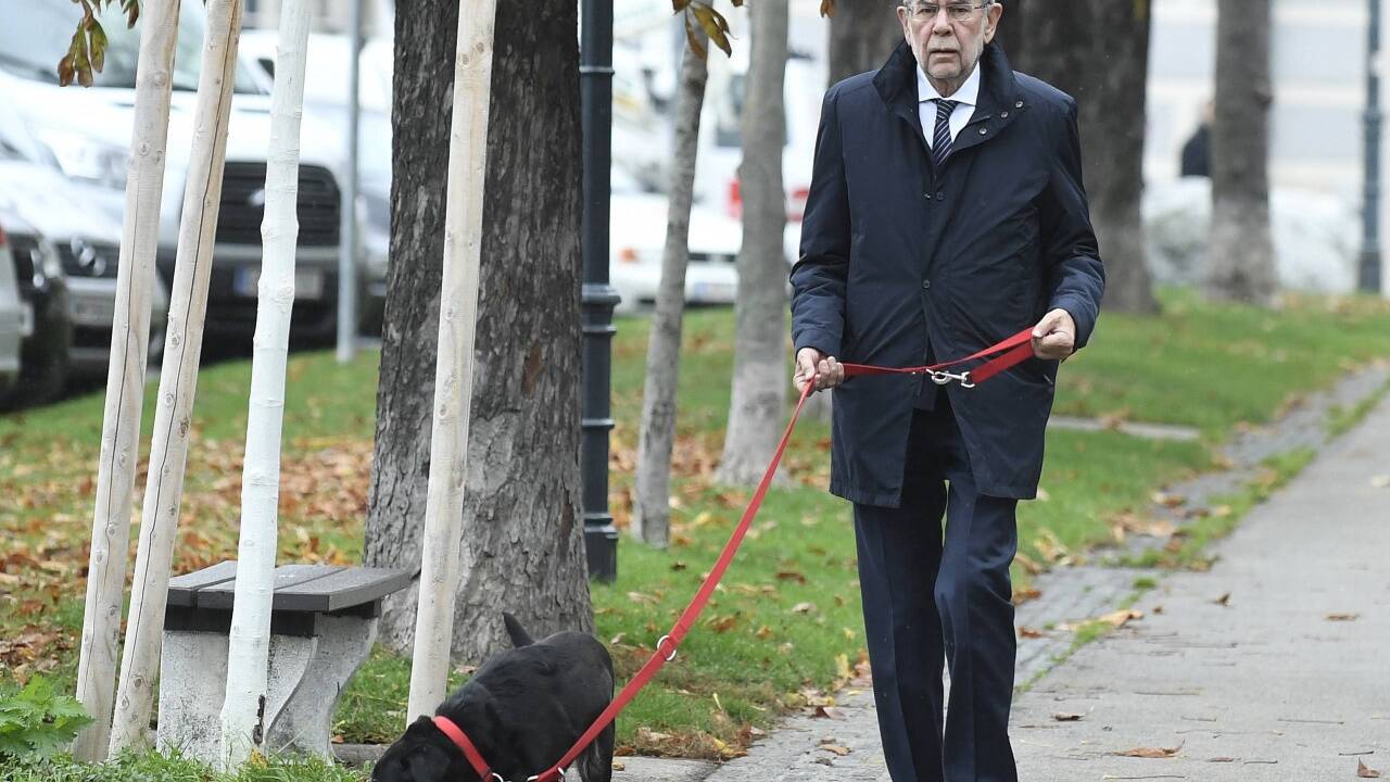 Hund Juli ist laut Van der Bellen „der eigentliche Star in der Hofburg“.  Hund Juli ist laut Van der Bellen „der eigentliche Star in der Hofburg“.