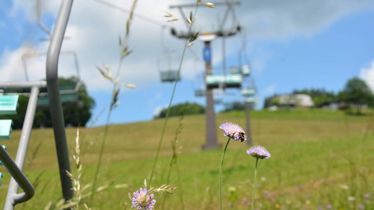In Gaißau dürfte es noch länger dauern, bis Gras über den laufenden Streit um die Zukunft des Skigebiets wächst. 