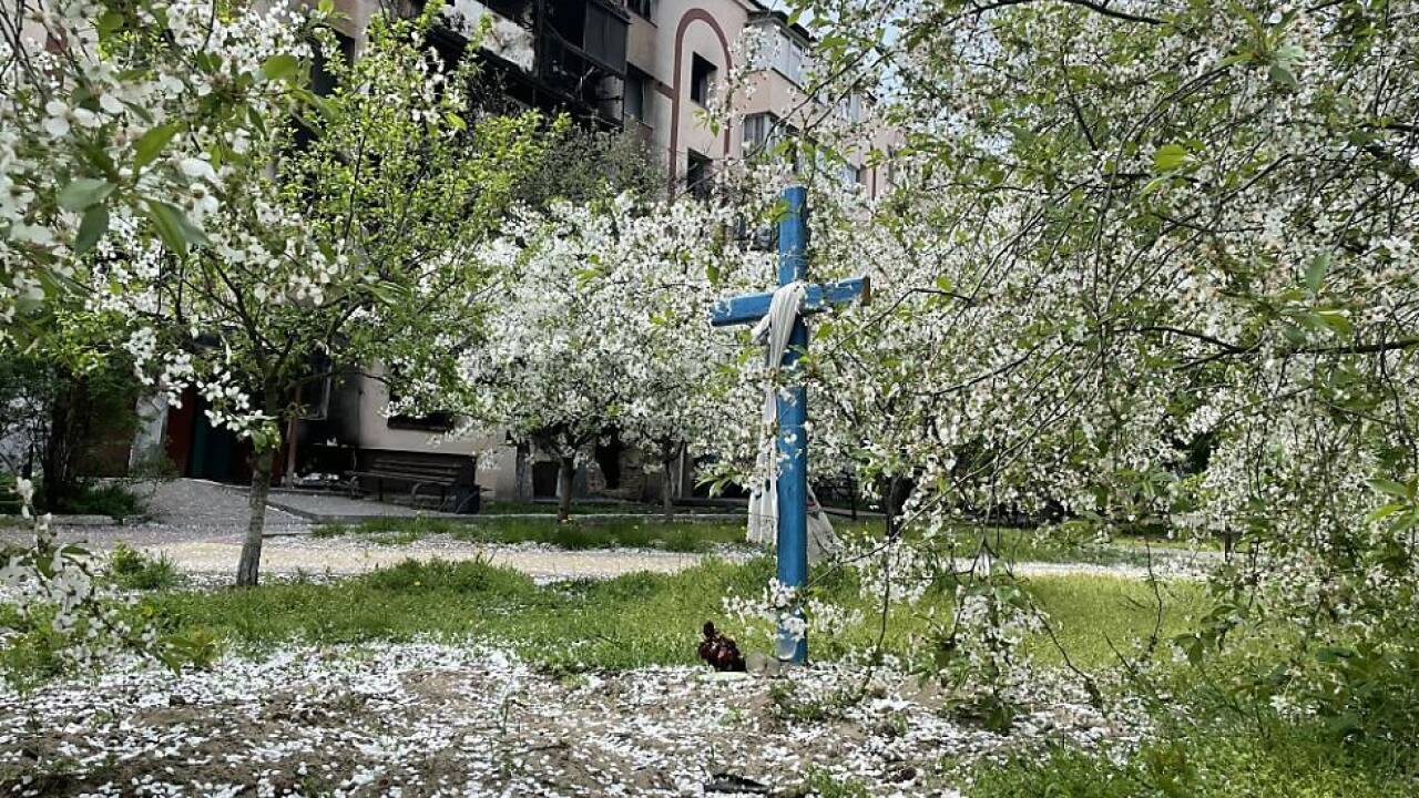 Ein von Kirschblüten bedecktes Grab in einem Hinterhof von Butscha  Ein von Kirschblüten bedecktes Grab in einem Hinterhof von Butscha