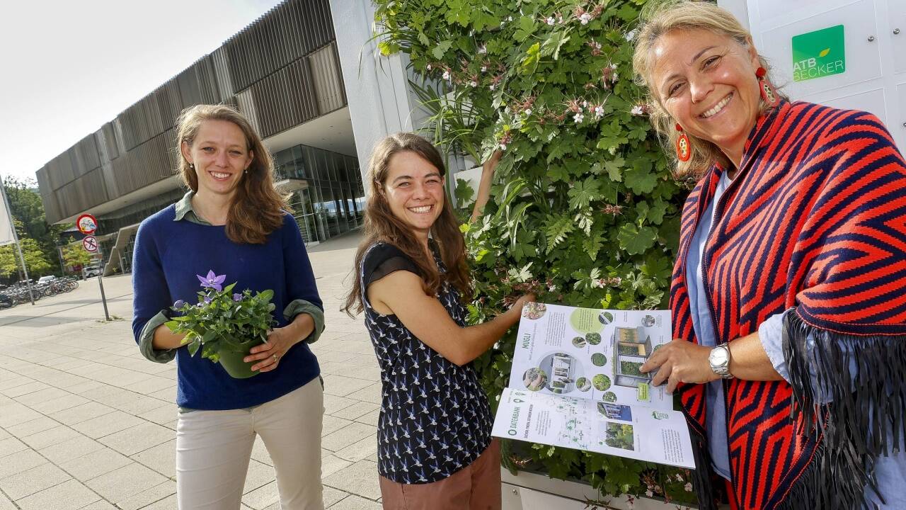 Hoffen auf viel Interesse für Gebäudegrün: Elisabeth Gruchmann-Bernau von Grünstattgrau mit Praktikantin Tabea Klier und Salzburgs Vizebgm. Barbara Unterkofler (v.l.) vor dem begrünten Container beim Unipark Nonntal.    Hoffen auf viel Interesse für Gebäudegrün: Elisabeth Gruchmann-Bernau von Grünstattgrau mit Praktikantin Tabea Klier und Salzburgs Vizebgm. Barbara Unterkofler (v.l.) vor dem begrünten Container beim Unipark Nonntal.
