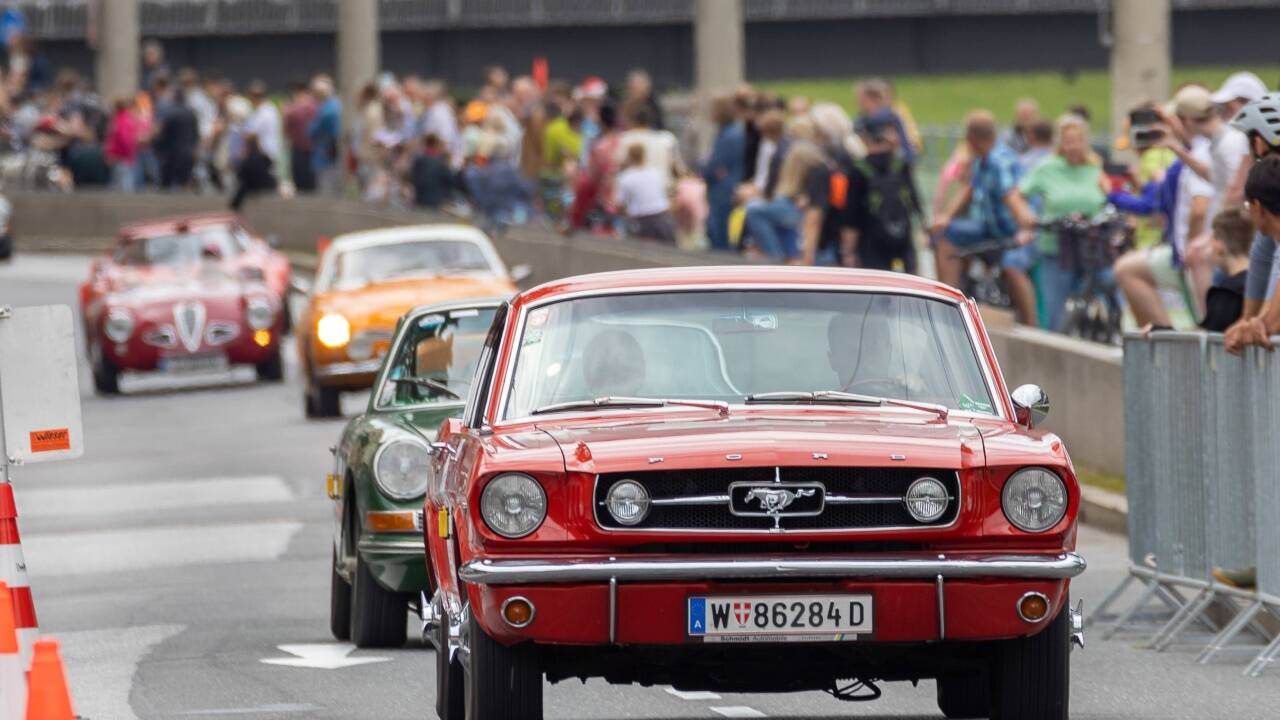 Mustang ...  
