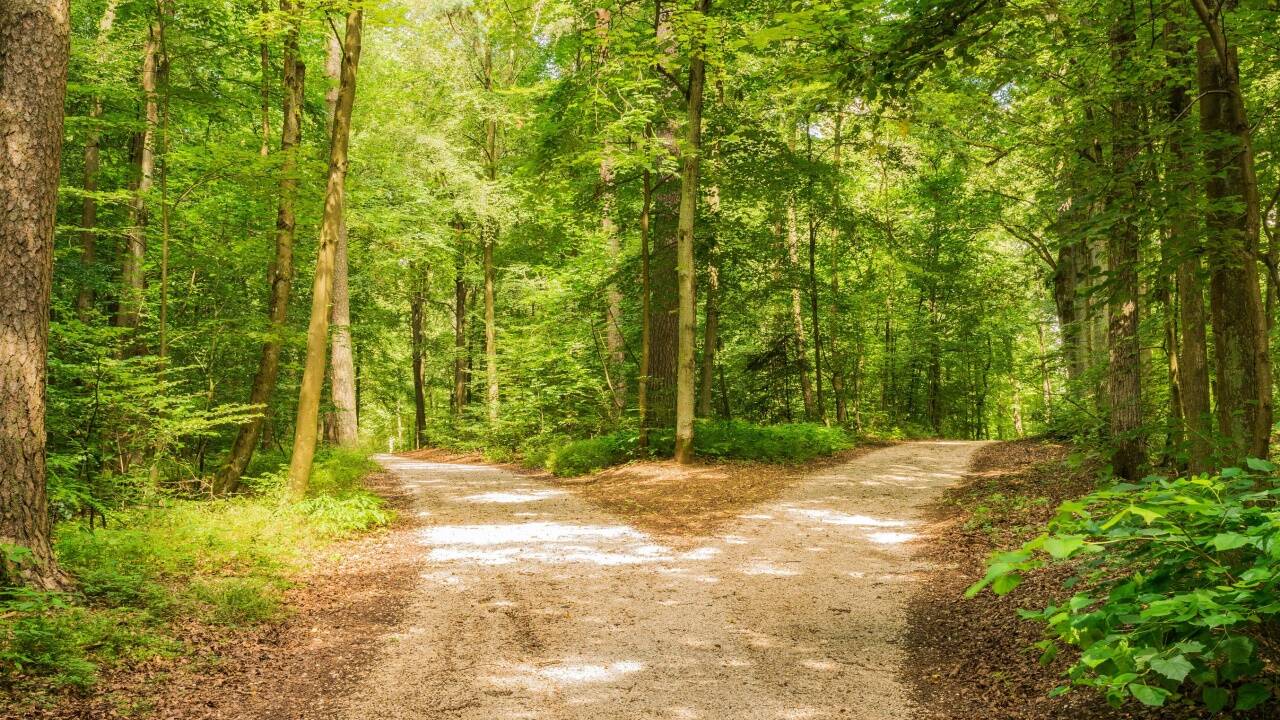 Welcher Weg ist der bessere?  