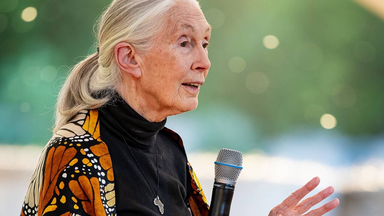 Naturforscherin Jane Goodall sprach am Dienstagabend vor ausverkauftem Saal in Wien. 