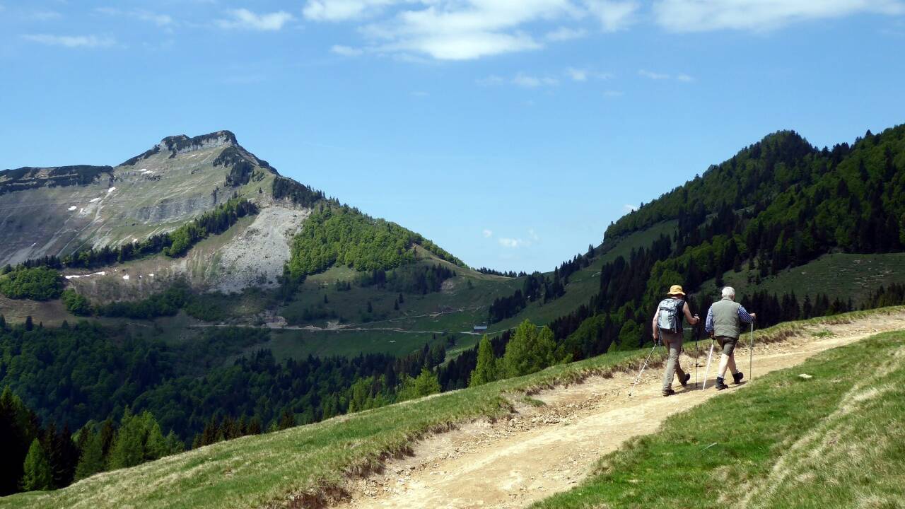 Am Weg von der Bergalm zur Ladenbergalm mit Blick auf den Schmittenstein.   Am Weg von der Bergalm zur Ladenbergalm mit Blick auf den Schmittenstein.