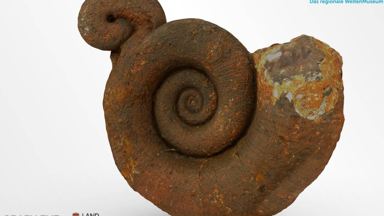 Fossilien wie dieser Ammonit gehören zum Bestand. Die Modelle stehen kostenlos und registrierungsfrei zur Verfügung: www.museumgolling.at/sammlungen/museum3d/ 