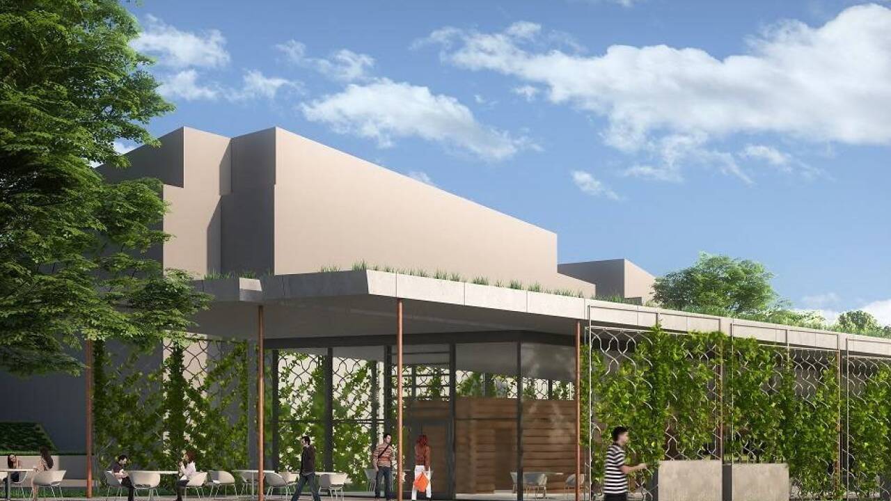 Beim M-Preis-Markt in Söll werden im Rahmen eines Forschungsprojekts Rankhilfen für sommergrüne Kletter- und Schlingpflanzen errichtet. Diese sorgen in den warmen Jahreszeiten für ein angenehmes Raumklima.  