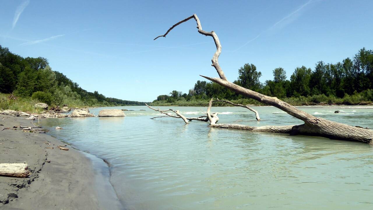 Auch an der Salzach bei Laufen öffnen sich stimmige Uferplätze.  