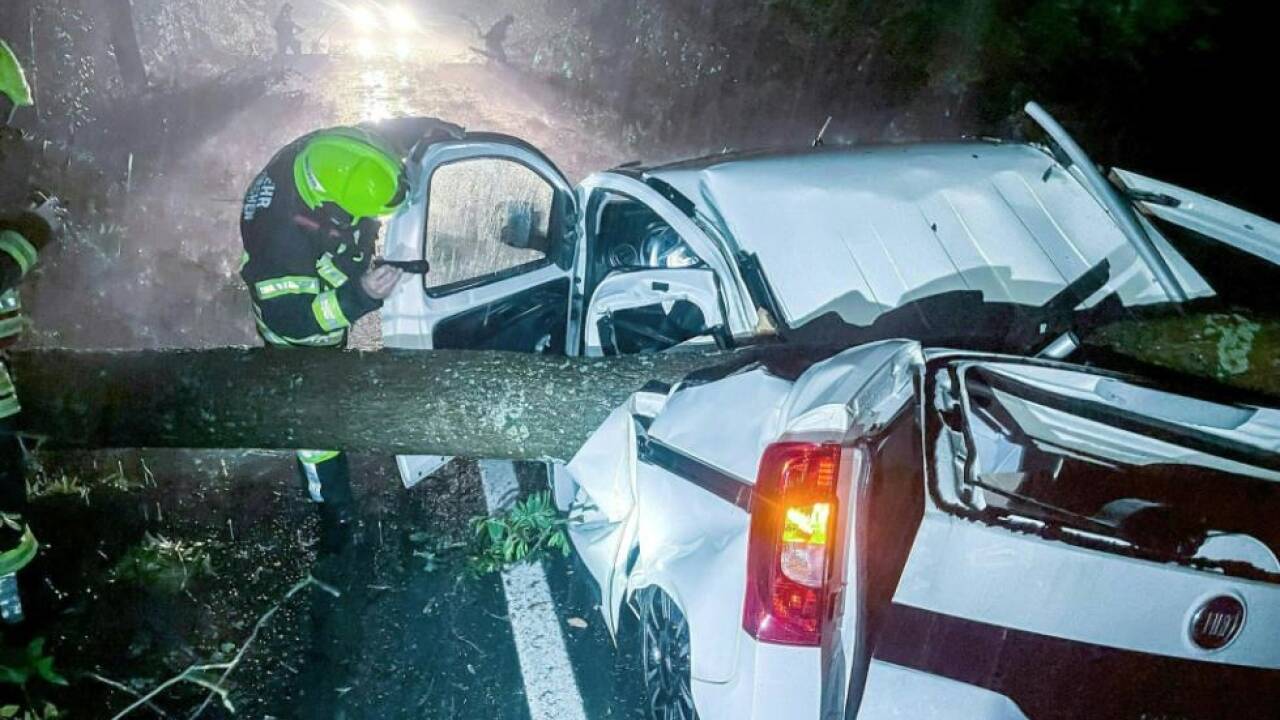 Auch Autos wurden von umgestürzten Bäumen getroffen 