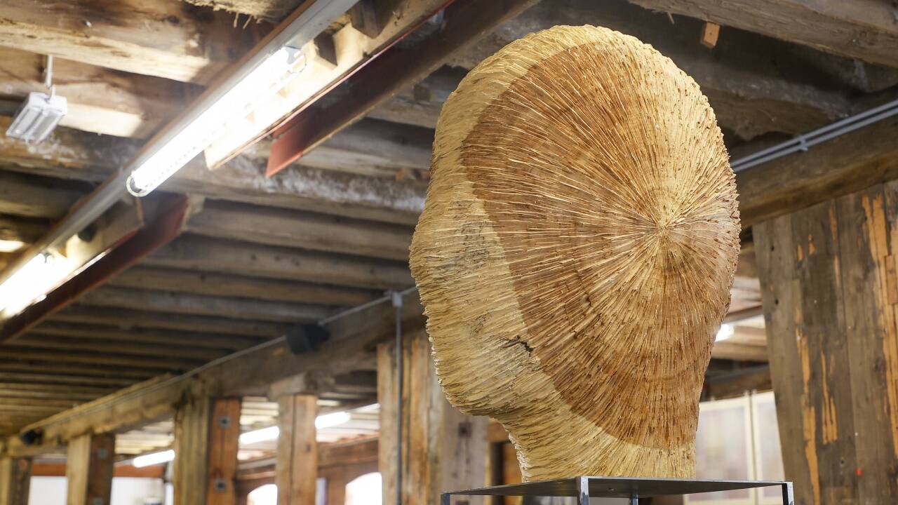 Holzkopf von Alfred Haberpointner.  