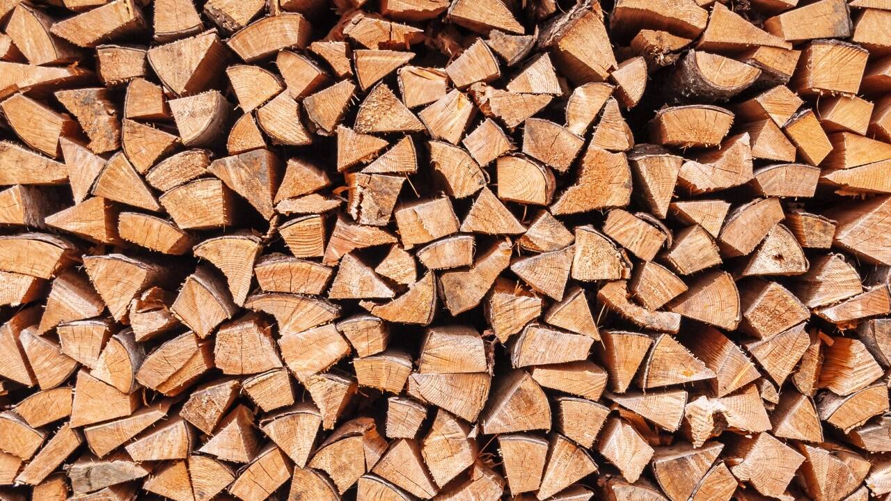 Brennholz wird zur Mangelware. Brennholz wird zur Mangelware.