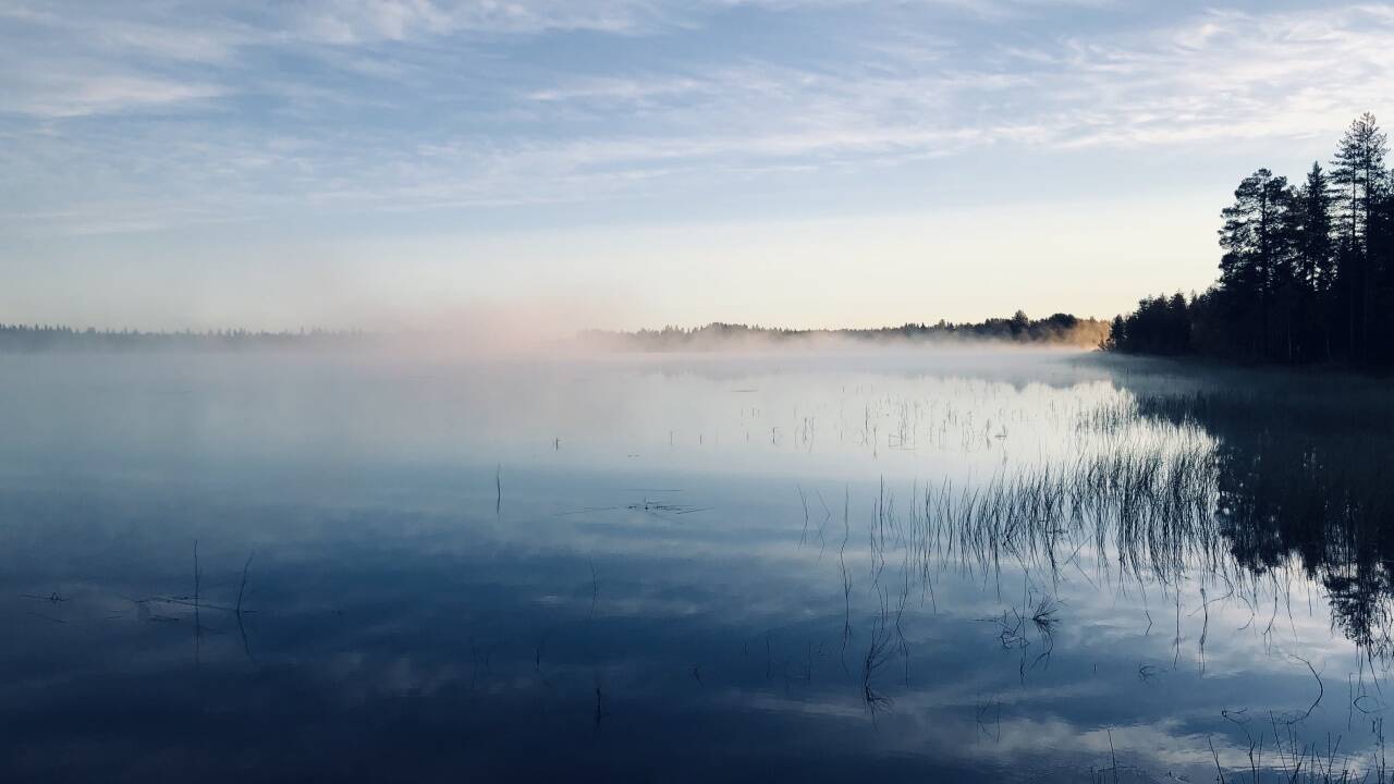 Eindrücke aus Lappland. 