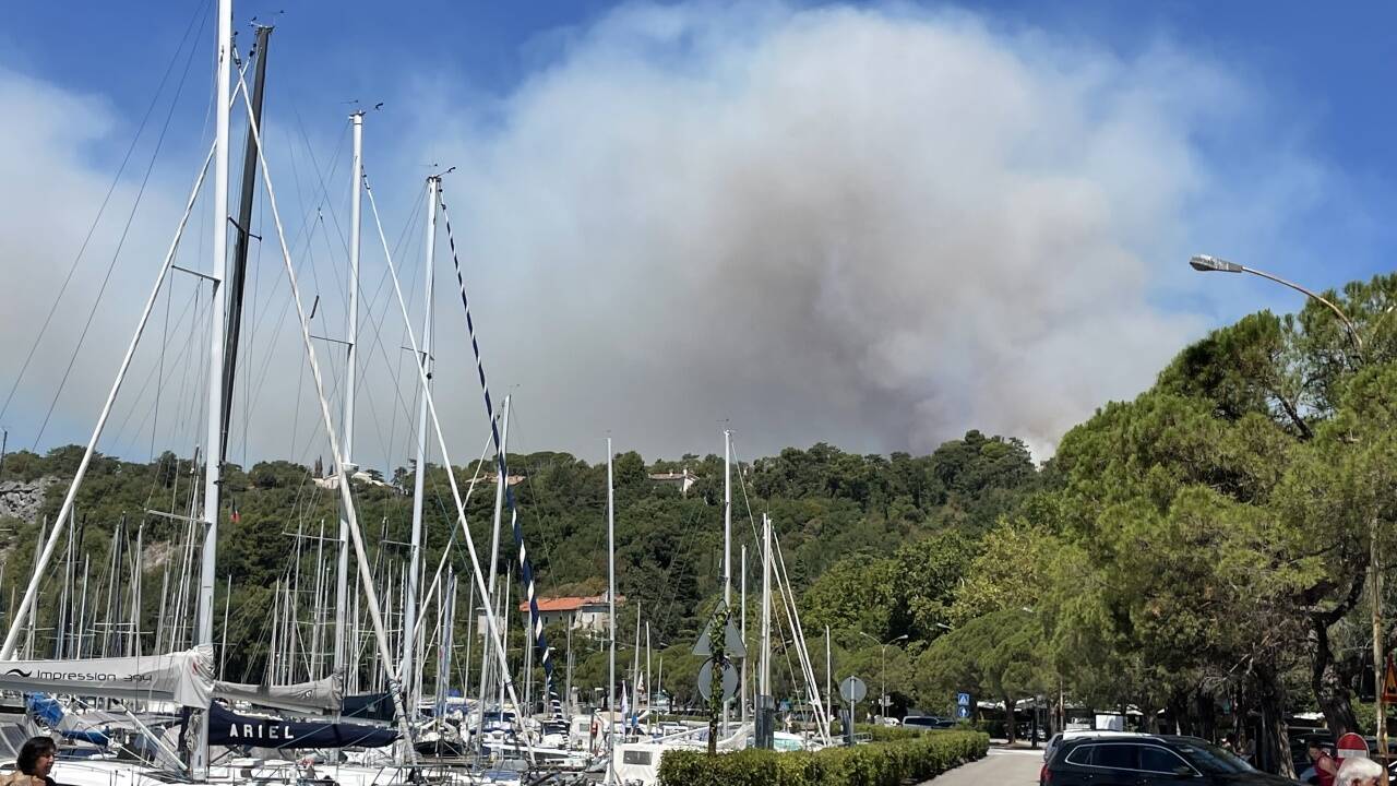 Waldbrand nahe der italienischen Hafenstadt Monfalcone.   Waldbrand nahe der italienischen Hafenstadt Monfalcone.