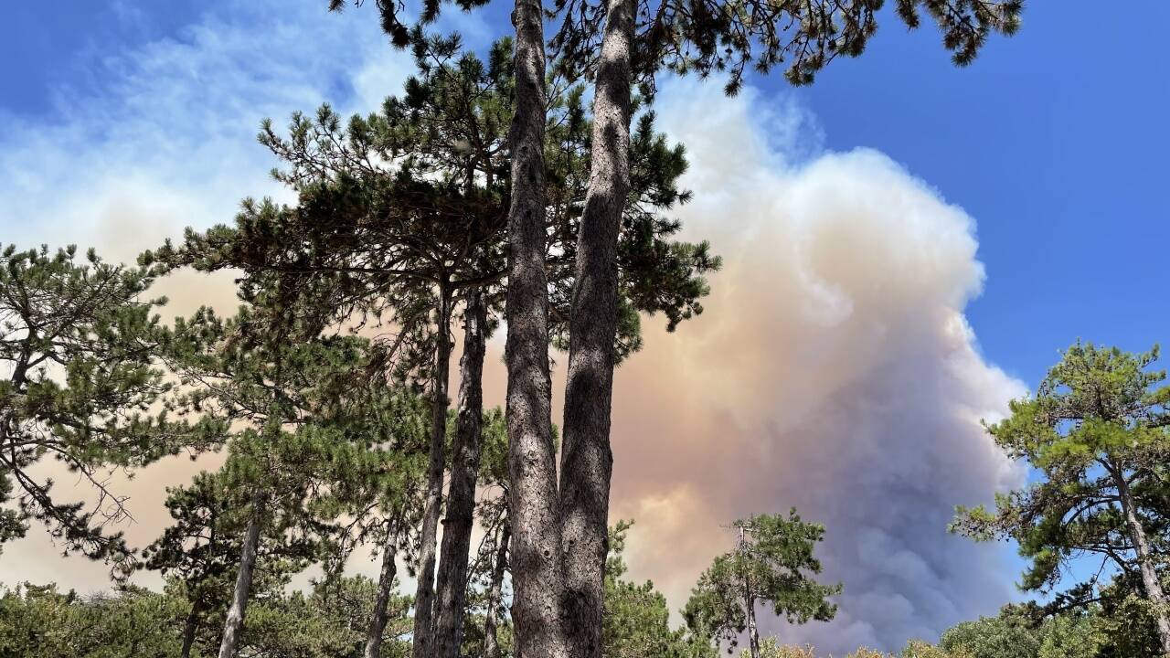 Waldbrände nahe Monfalcone.   Waldbrände nahe Monfalcone.
