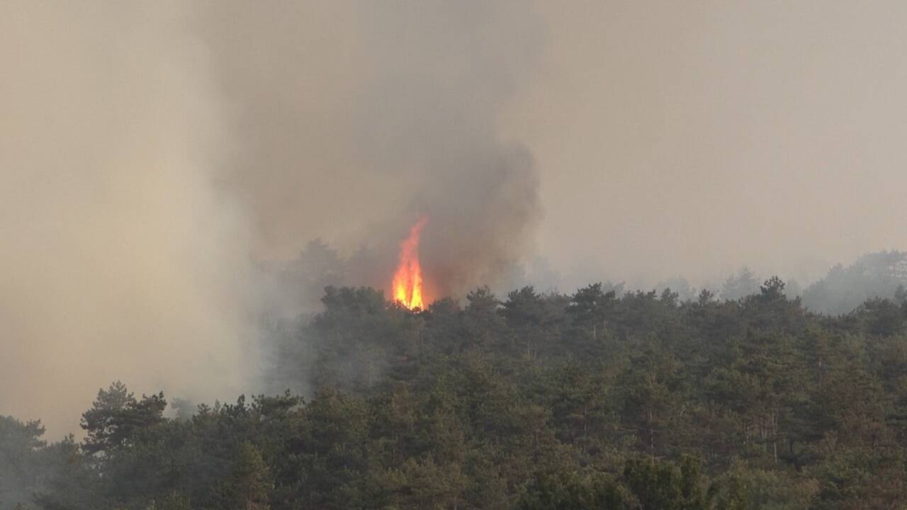 Großbrand im friulanischen Karstgebiet  Großbrand im friulanischen Karstgebiet