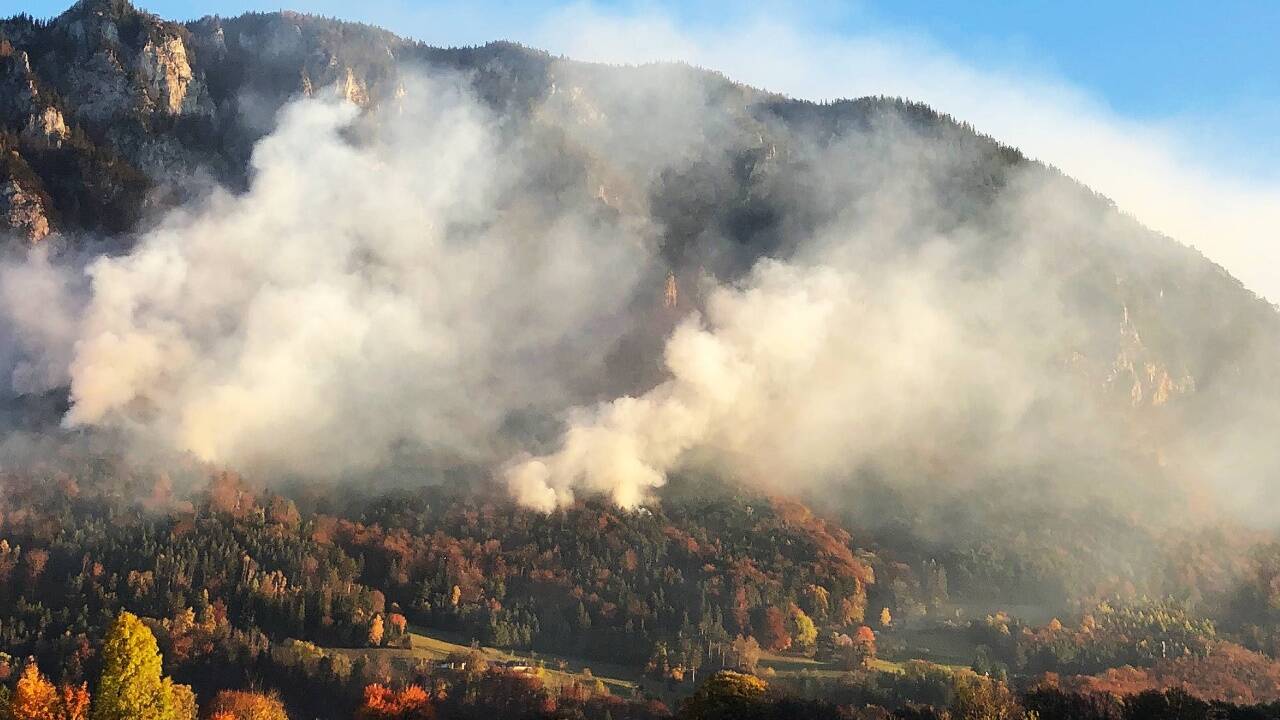 Auch in Österreich steigt die Zahl der Waldbrände. Auch in Österreich steigt die Zahl der Waldbrände.