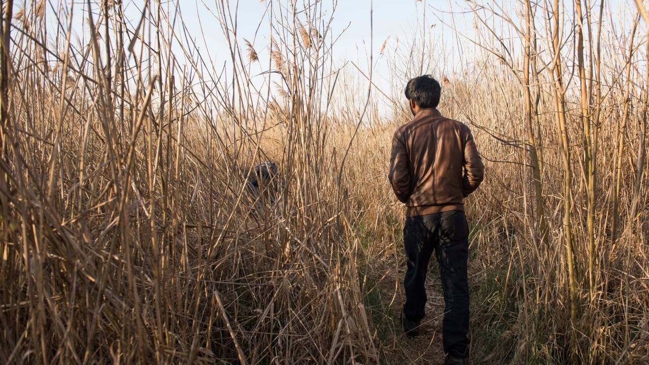 Ein pakistanischer Flüchtling geht durch eine Wiese bei Subotica.  