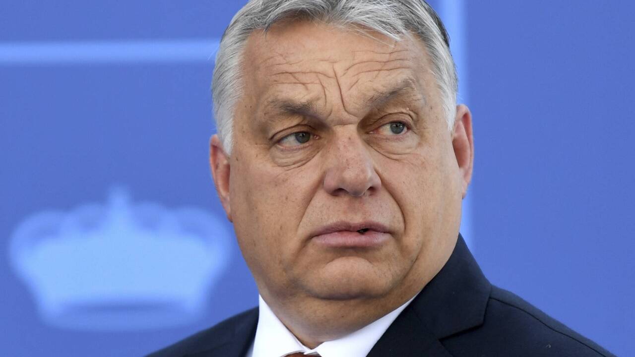 Viktor Orbán besucht Österreichs Bundeskanzler Karl Nehammer in Wien – eine heikle Visite auch für den Gastgeber. 
