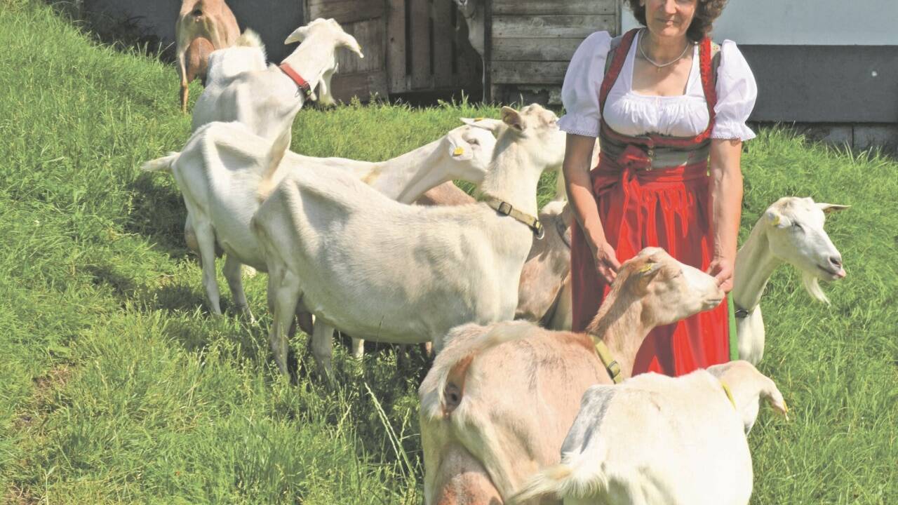 Konwaldbäuerin Rosi Unteregger mit ihren Ziegen, die seit Jahren für höchste Auszeichnungen sorgen. 