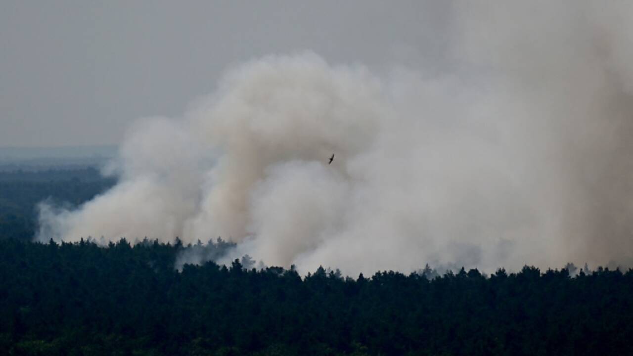 Der Brand im Berliner Grunewald bleibt gefährlich 
