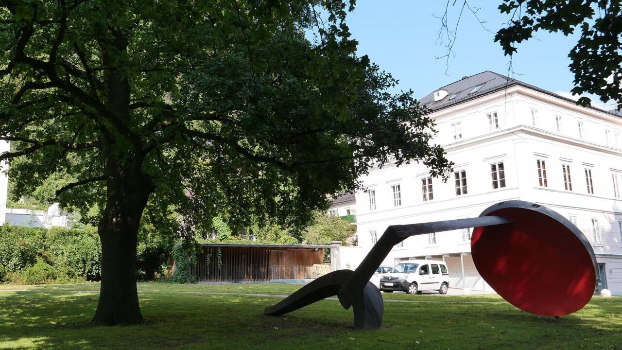 Rund um die Eiche soll der Erweiterungsbau im Arenbergpark entstehen.  