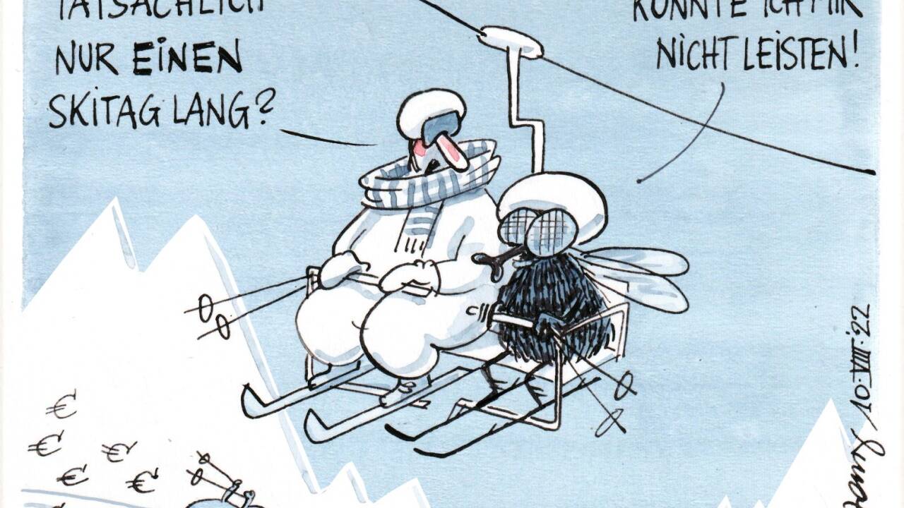 Die Eintagsskifliege . . . 