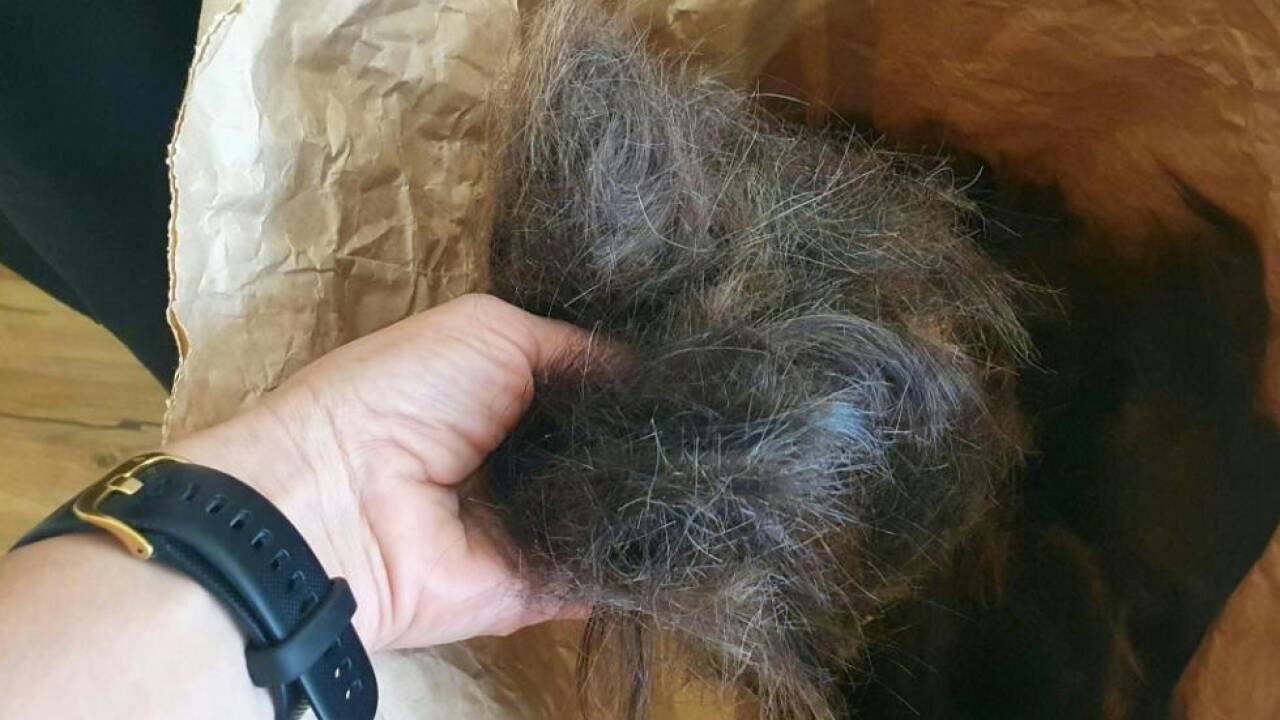Haare landen nicht im Müll, sondern werden gesammelt 
