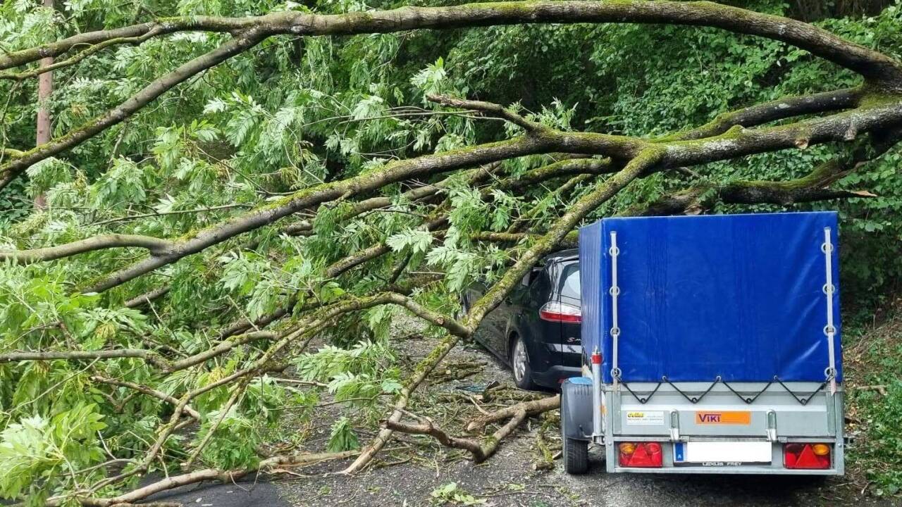 Umgestürzte Bäume blockierten den Verkehr und behinderten Rettungsmaßnahmen.  