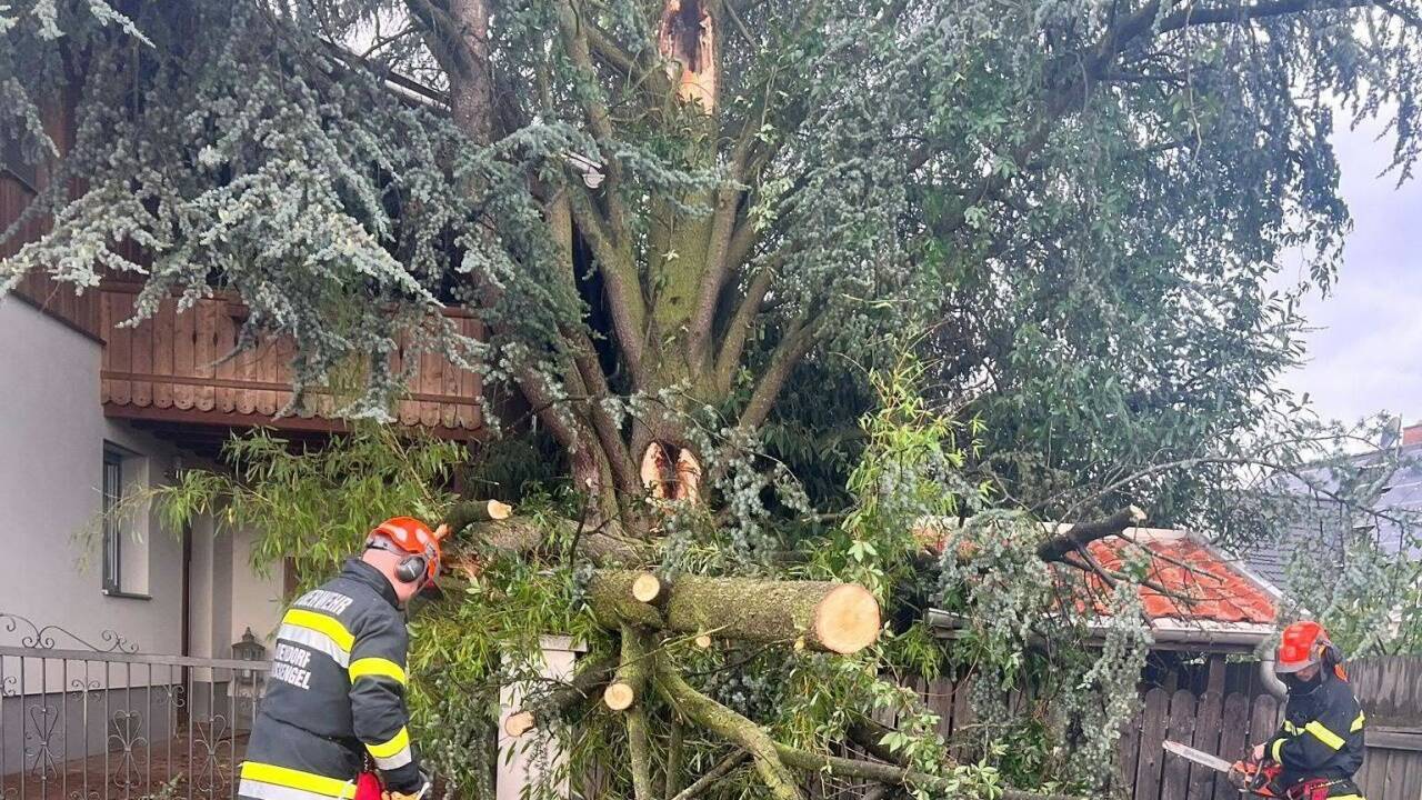 Die Feuerwehr musste zahlreiche Bäume umschneiden.  