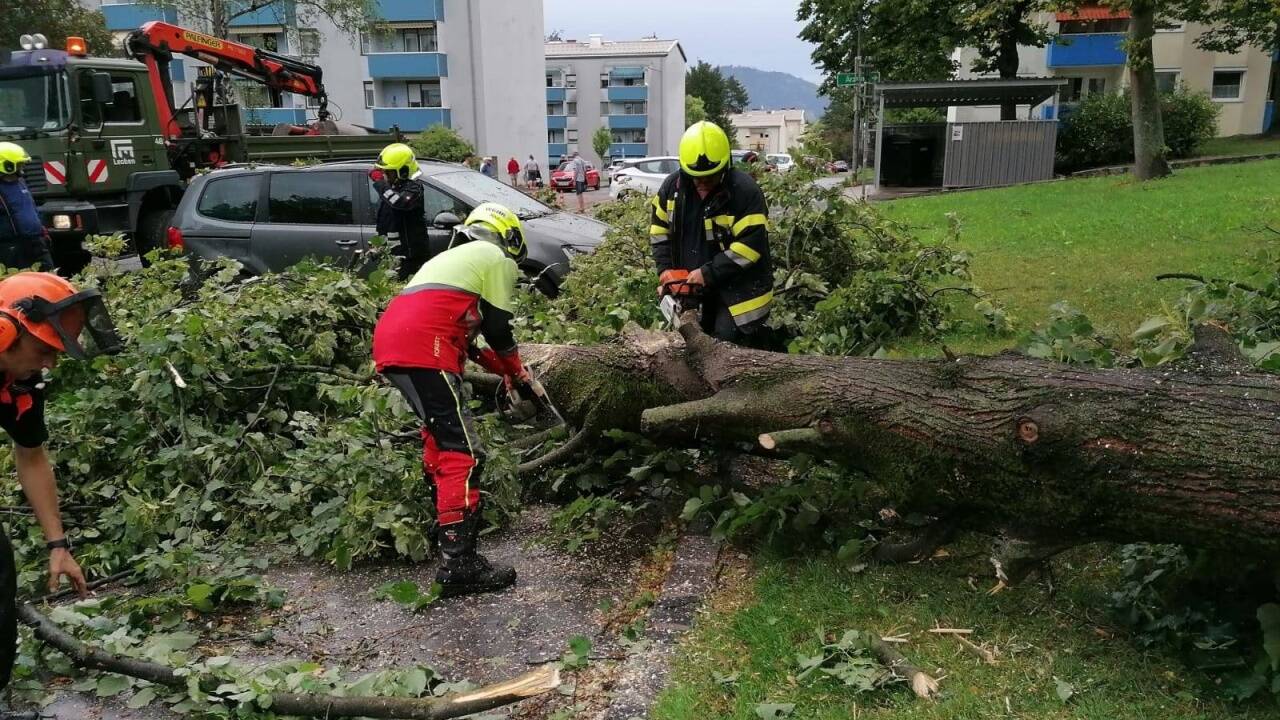 Das Unwetter zog über Kärnten, die Steiermark und Niederösterreich hinweg und richtete Schäden in Millionenhöhe an. 