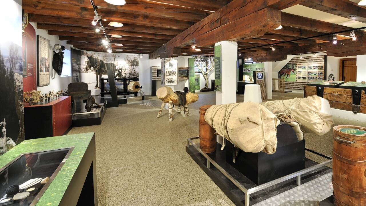 Eine interaktive Ausstellung über Pferd und Mensch im Nationalpark Hohe Tauern. 