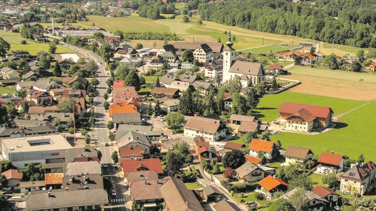 Die Gemeinde Oberalm hat schon einige artenreiche Blumenwiesen geschaffen.  