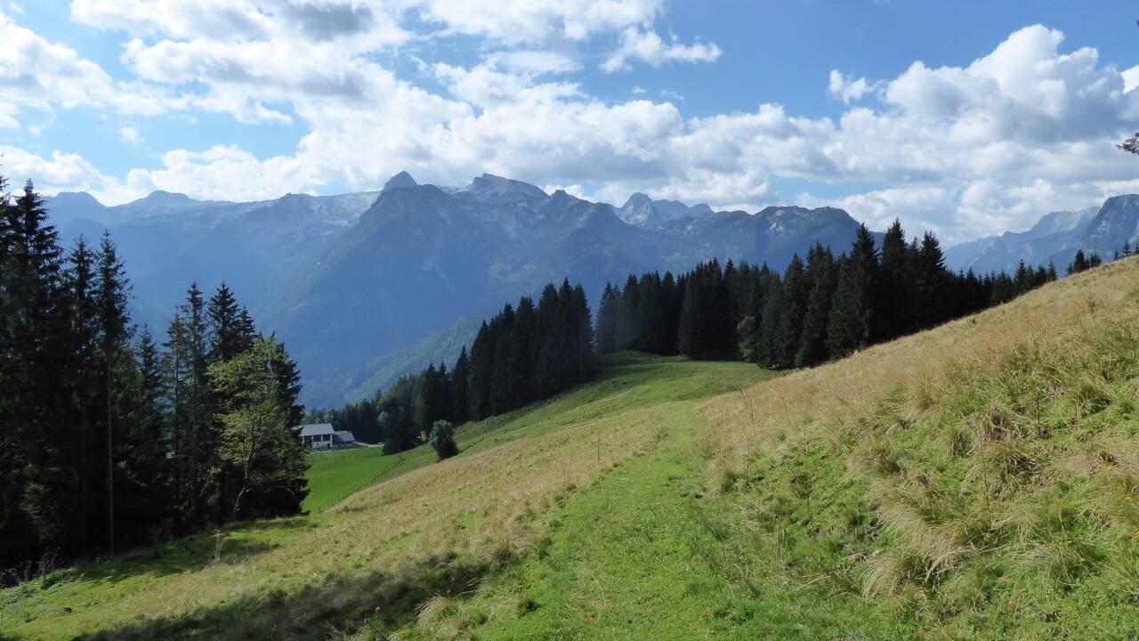  Der Weg zur Hochreithalm mit Blick auf das Tennengebirge. 