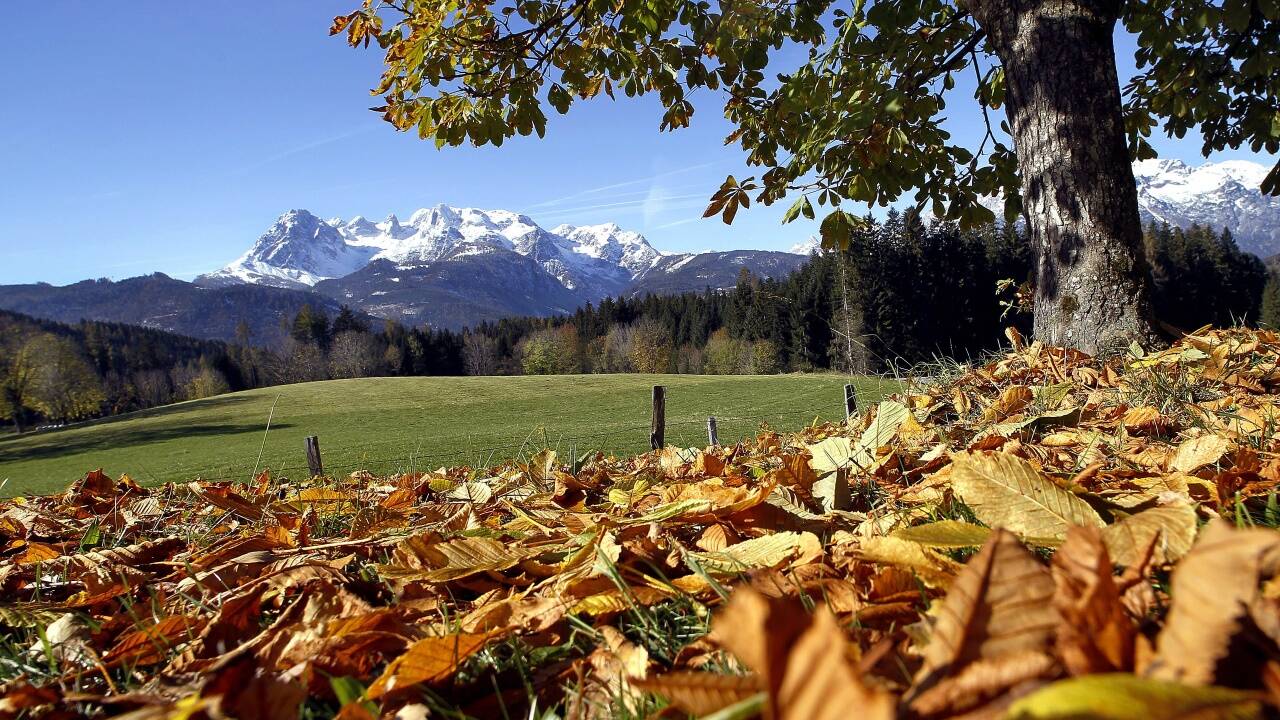 Der Sommer geht zu Ende, der Herbst kündigt sich an. (Archivbild) 