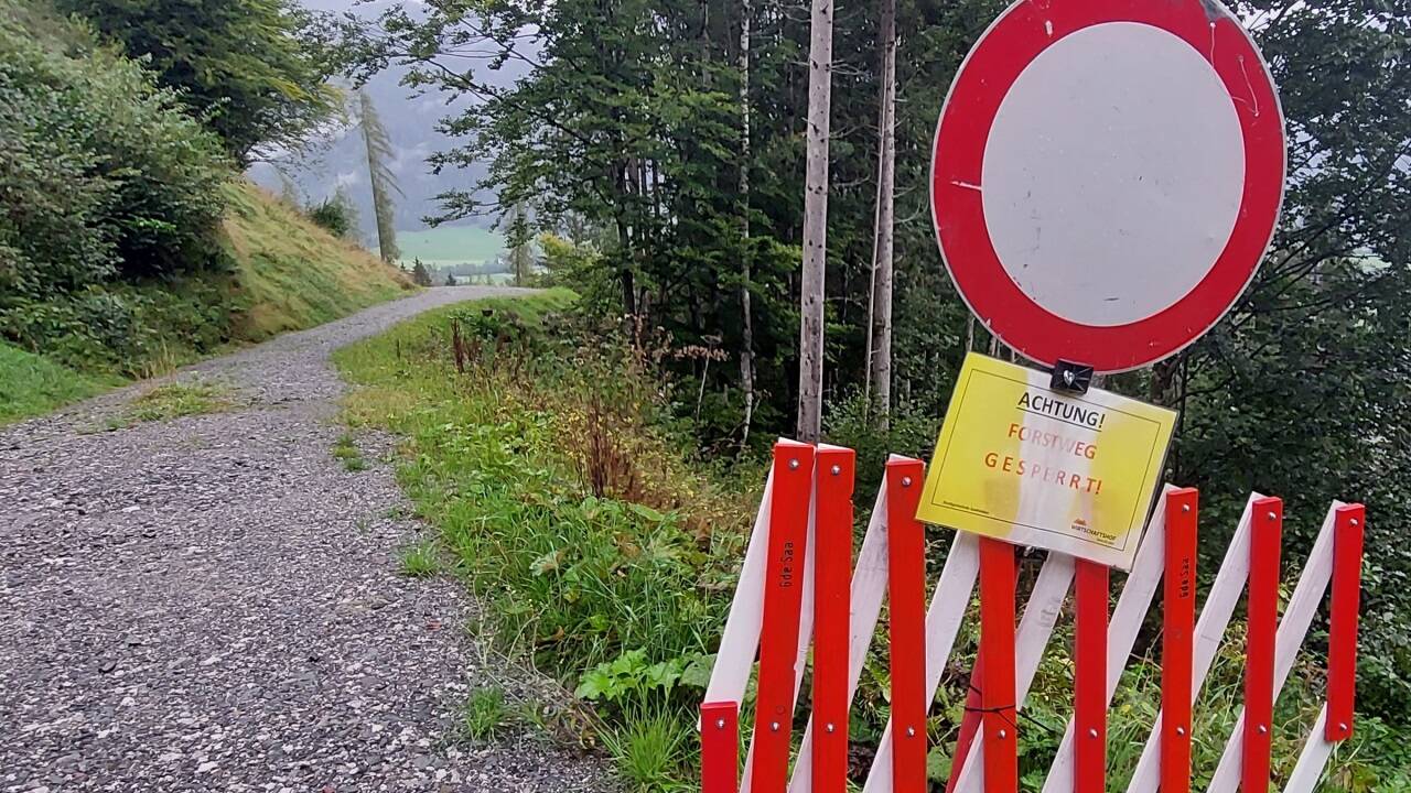Hier beginnt die Forststraße zur Schanze, die unten im Tal liegt. Hier beginnt die Forststraße zur Schanze, die unten im Tal liegt.