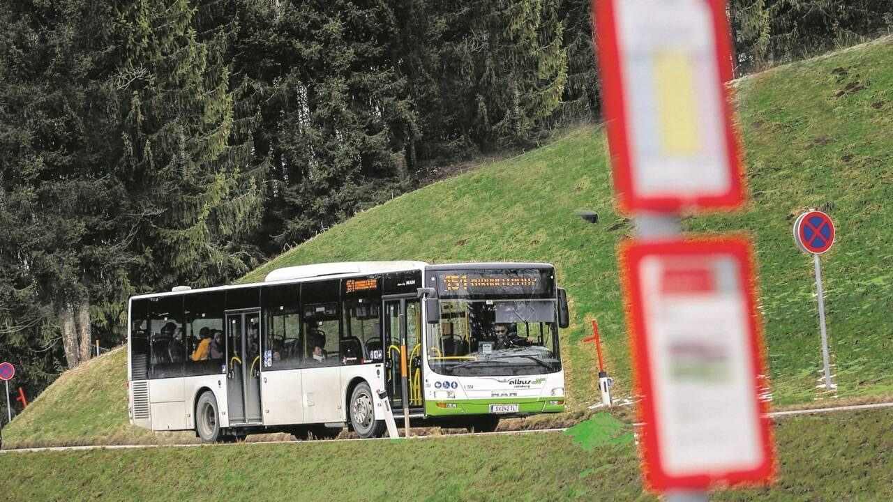 Der Gaisberg wird am Sonntag autofrei. Besucherinnen und Besucher können aber mit dem Bus bis zum Spitz fahren. 