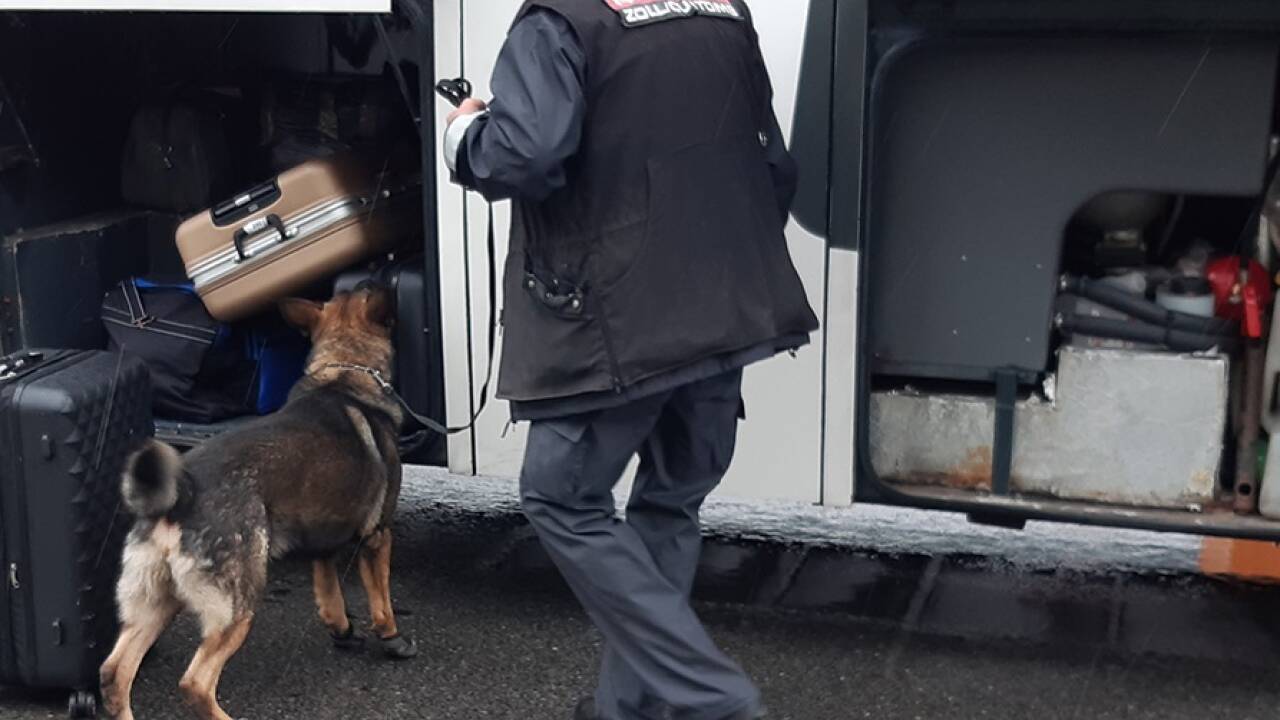Bei der Kontrolle durch die Finanzpolizei kamen auch Spürhunde zum Einsatz. 